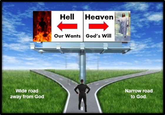 rev action